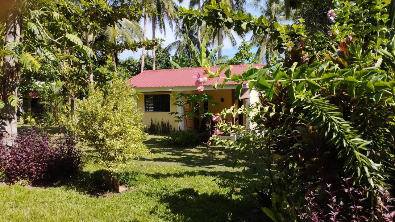Acacia'S Cottages With Starlink Wifi มัมบาเฮา ภายนอก รูปภาพ