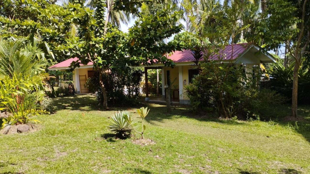 Acacia'S Cottages With Starlink Wifi มัมบาเฮา ภายนอก รูปภาพ