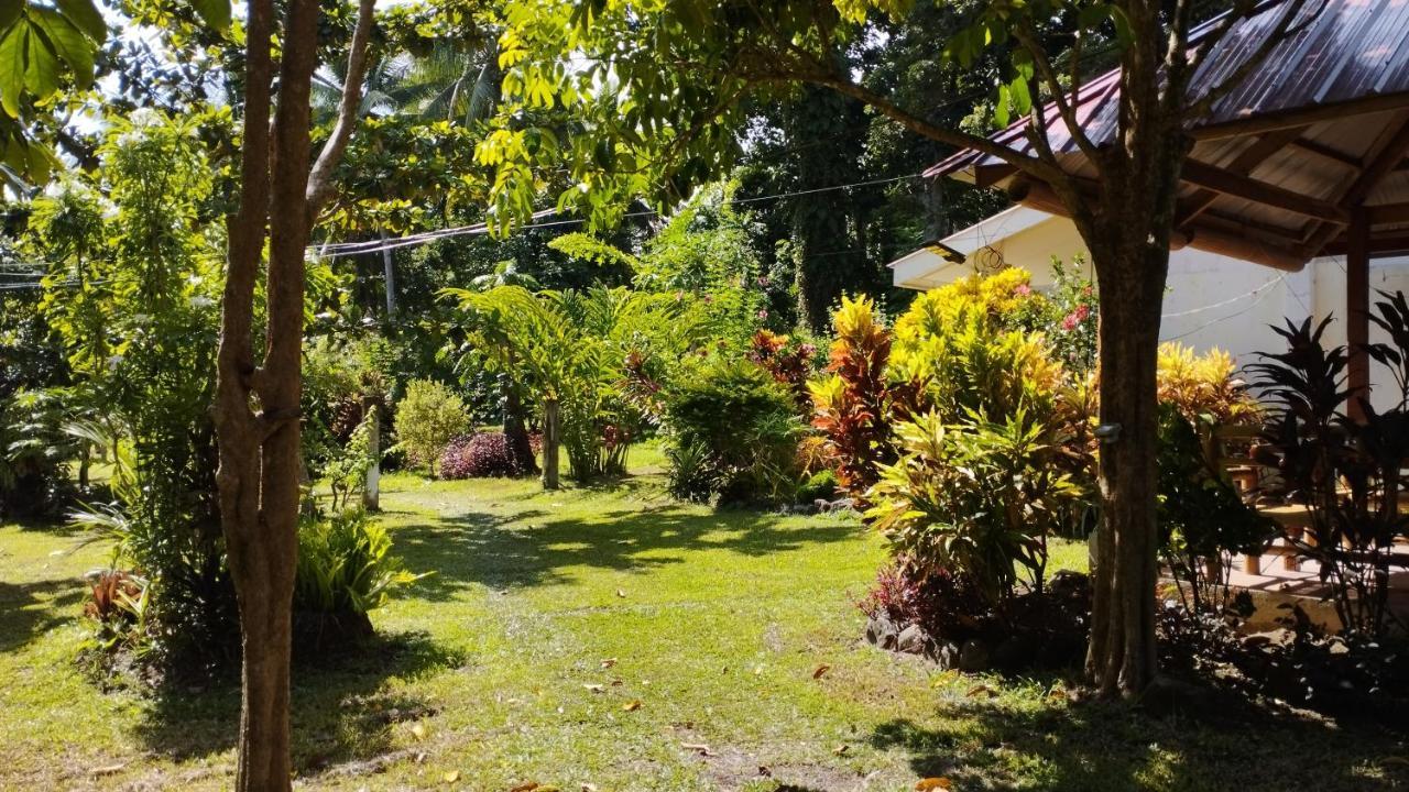 Acacia'S Cottages With Starlink Wifi มัมบาเฮา ภายนอก รูปภาพ