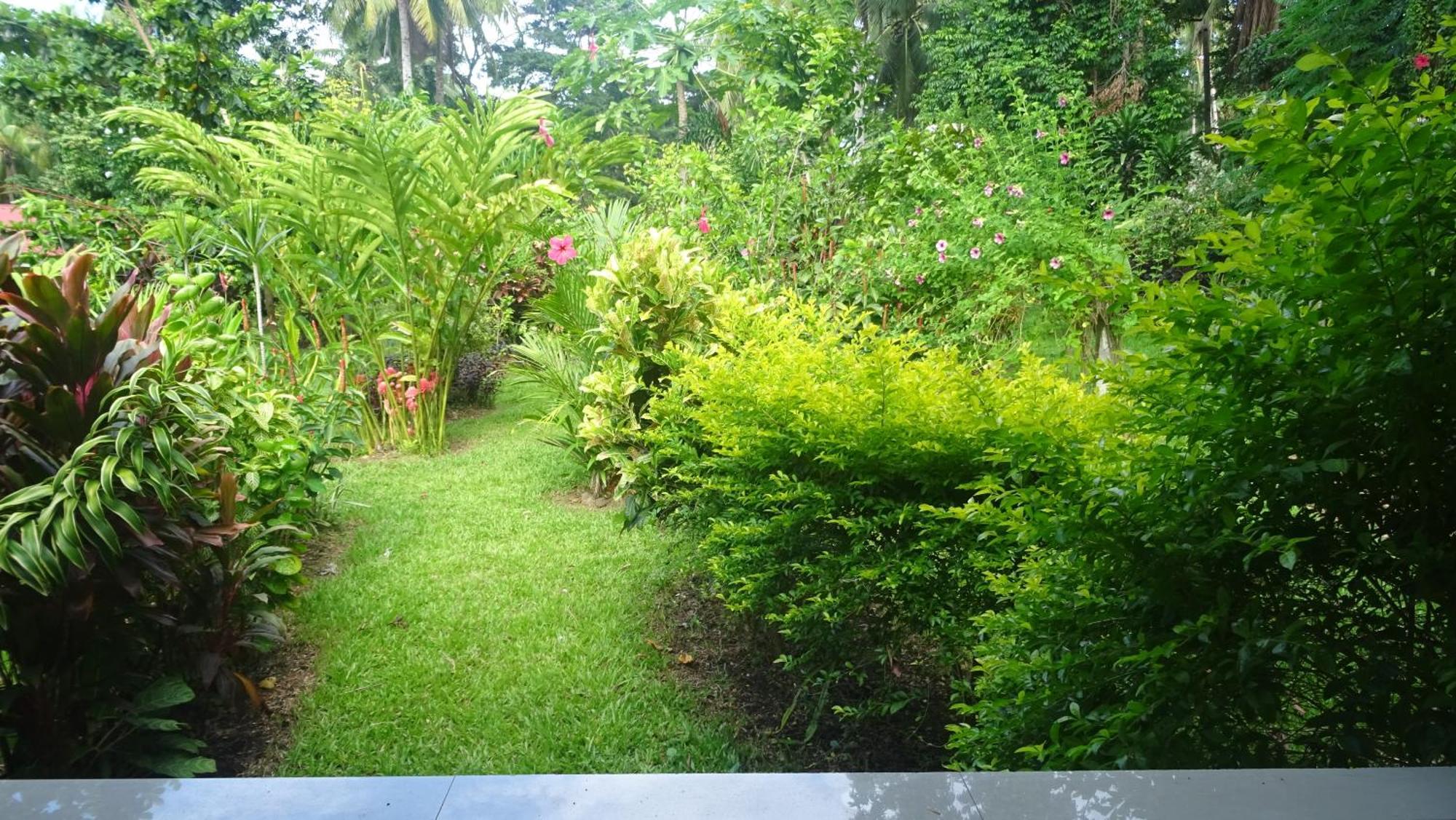 Acacia'S Cottages With Starlink Wifi มัมบาเฮา ภายนอก รูปภาพ