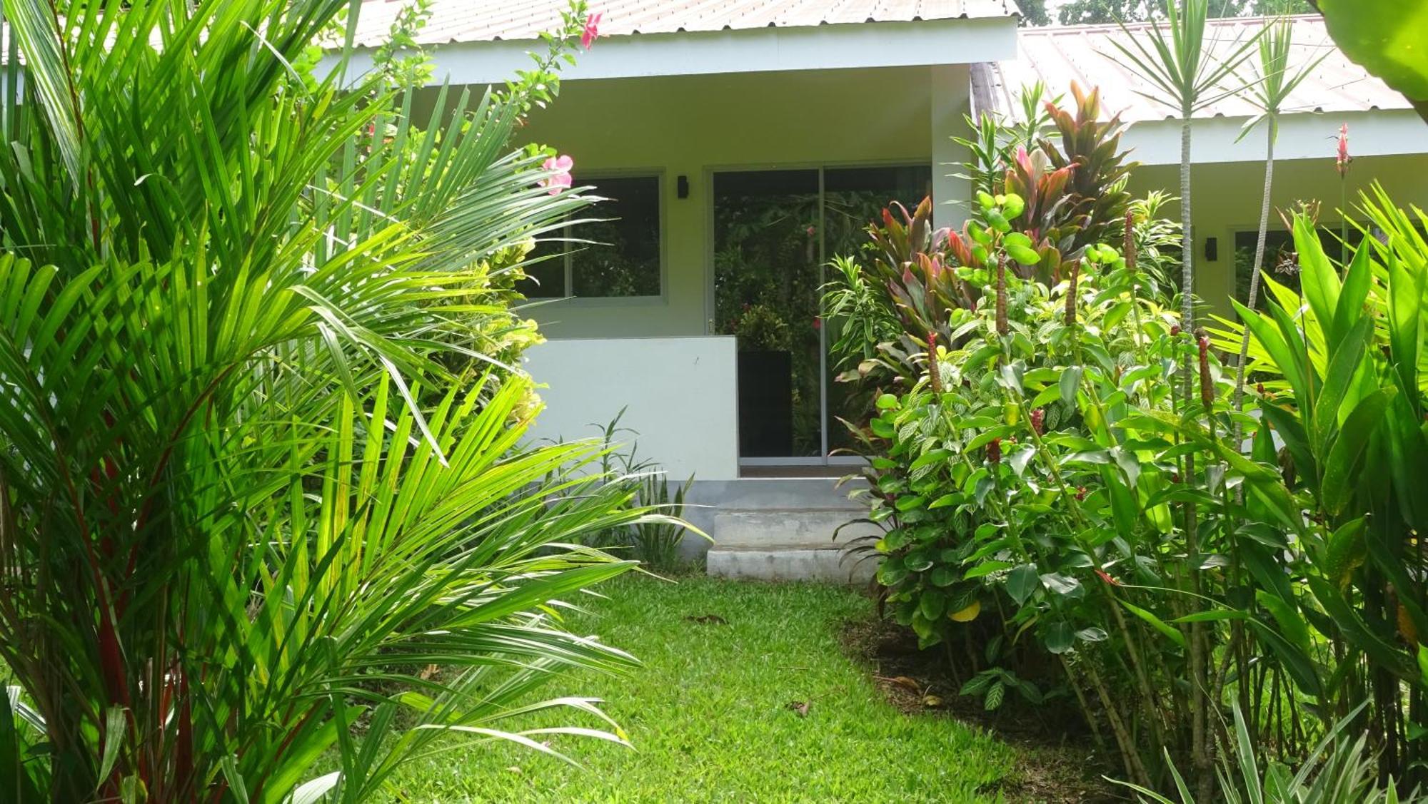Acacia'S Cottages With Starlink Wifi มัมบาเฮา ภายนอก รูปภาพ