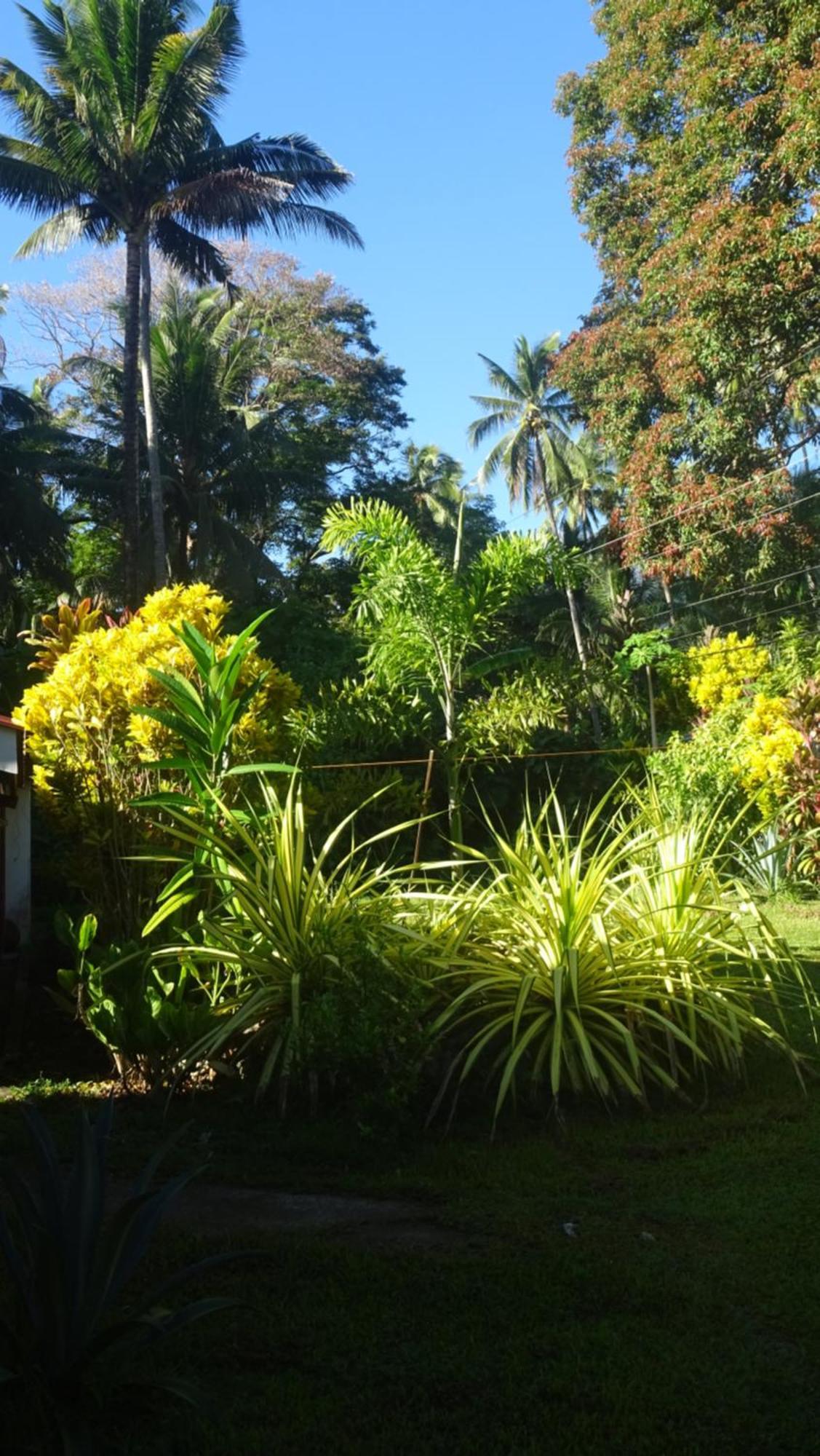 Acacia'S Cottages With Starlink Wifi มัมบาเฮา ภายนอก รูปภาพ