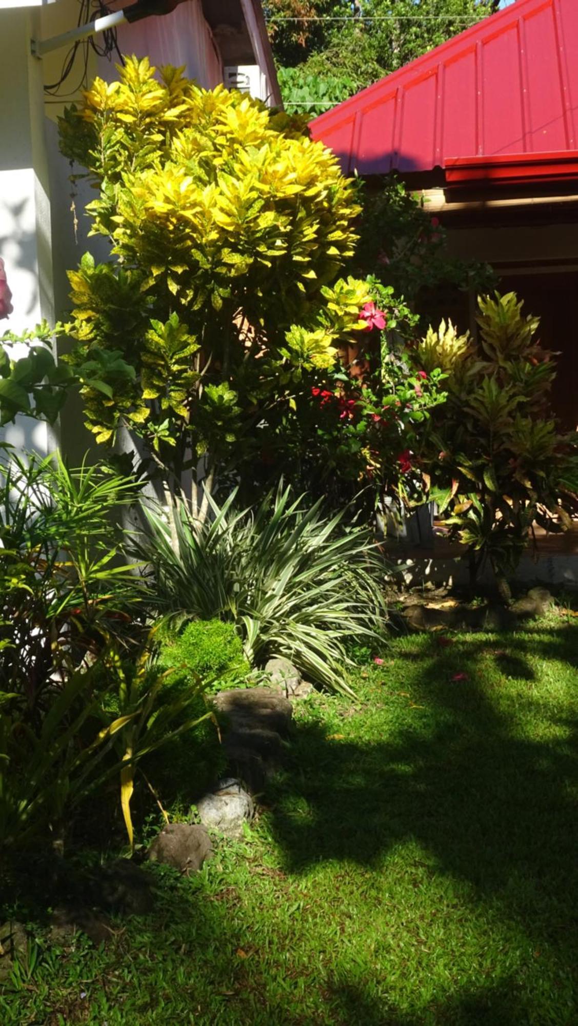 Acacia'S Cottages With Starlink Wifi มัมบาเฮา ภายนอก รูปภาพ
