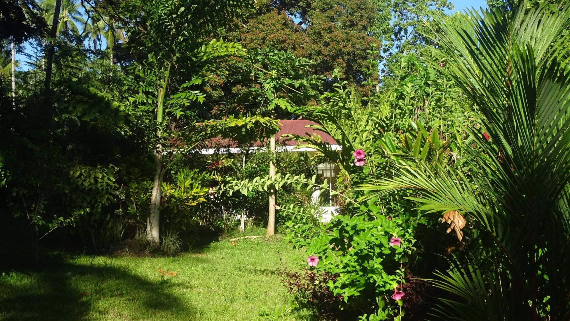 Acacia'S Cottages With Starlink Wifi มัมบาเฮา ภายนอก รูปภาพ